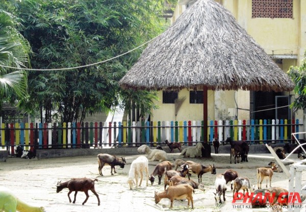 Động vật trong Thảo Cầm Viên