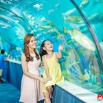 Thuy-cung-Times-City-01