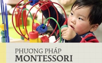 Làm giáo viên Montessori: từ trợ giảng tới giáo viên dẫn dắt lam giao vien montessori lo trinh tu tro giang toi guide content image