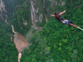 bungee trong giao duc trai nghiem content image