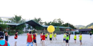 Đập bóng kết hợp giáo dục: hướng dẫn cho trường & nhà đầu tư