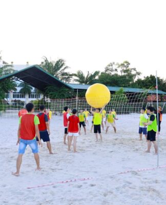 Đập bóng kết hợp giáo dục: hướng dẫn cho trường & nhà đầu tư