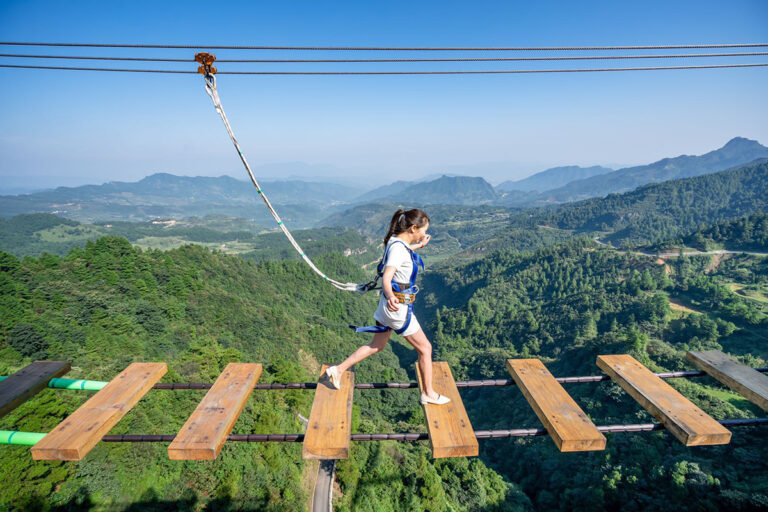 highwire ket hop giao duc huong dan cho truong content image