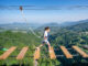 Highwire kết hợp giáo dục: Hướng dẫn thiết kế chương trình cho trường