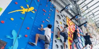 Leo núi kết hợp giáo dục: hướng dẫn triển khai an toàn cho trường và đầu tư