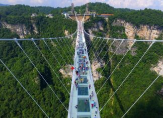 tieu chi chon cau kinh giao duc content image